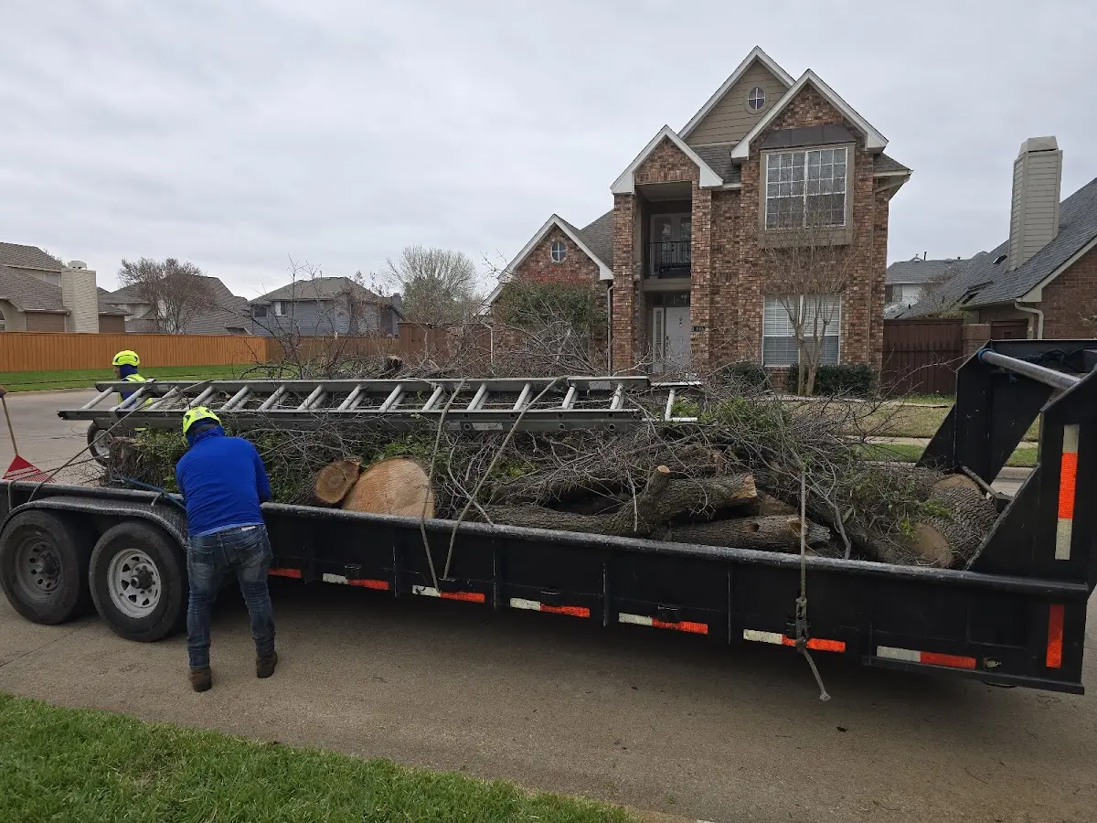 Expert Tree Pest Control with proper safety equipment in East Sparta